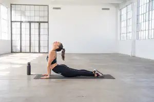 Free Mobility Workouts